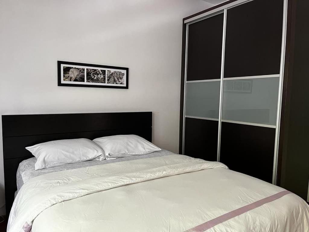 Condesa Residence Amsterdam D Sunny 2Bed 1Bath Apt In Condesa Città del Messico Esterno foto