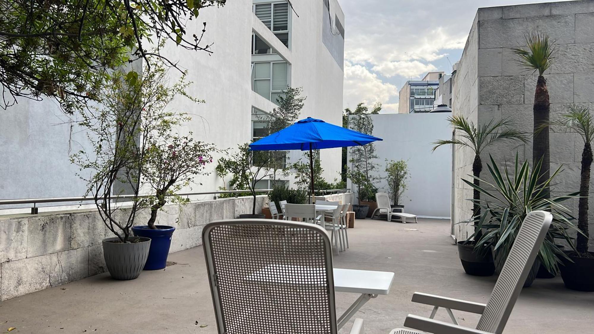 Condesa Residence Amsterdam D Sunny 2Bed 1Bath Apt In Condesa Città del Messico Esterno foto