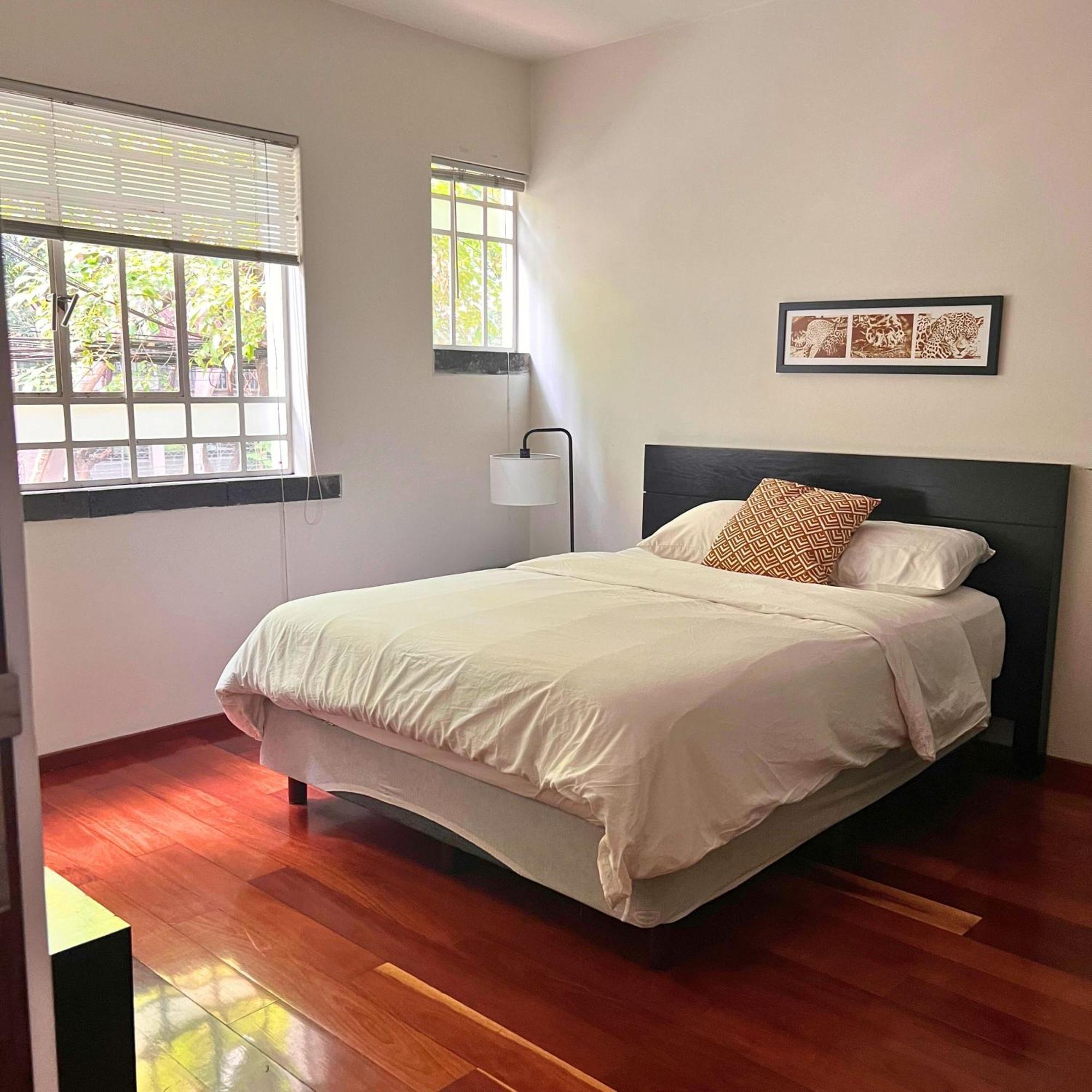 Condesa Residence Amsterdam D Sunny 2Bed 1Bath Apt In Condesa Città del Messico Esterno foto